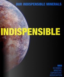 INDISPENSIBLE